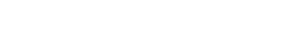 NANO Canvas